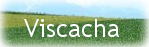 Viscacha Logo